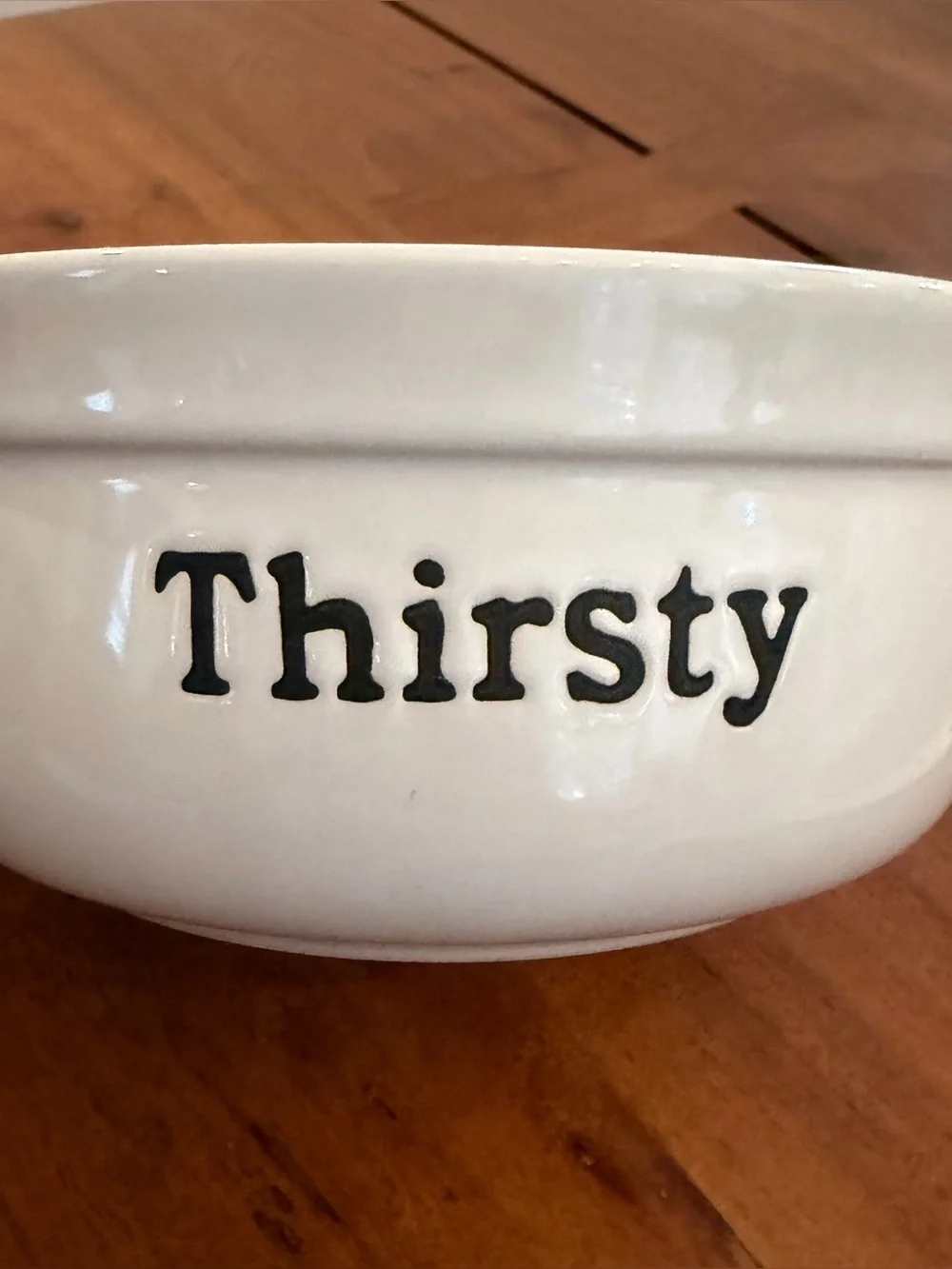Signature Housewares Thirsty Ceramic Pet Dog Cat Bowl Double Sided Paw Print 6